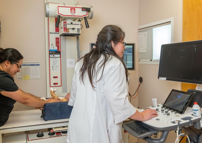 Carousel Slide 13: Pet Digital Radiology and Ultrasound on site