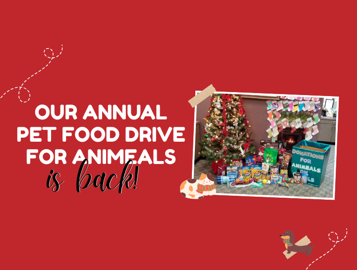 Holiday Pet Food Drive for Seniors Returns